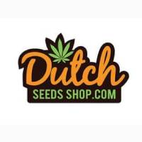 dutch-seeds-shop