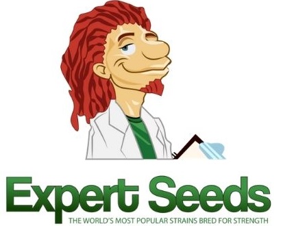 expert-seed